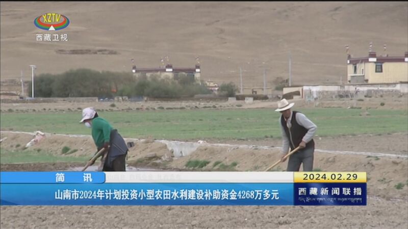 西藏新闻联播矮化苹果西藏新闻联播主持人殷秀梅-第1张图片-太平洋在线下载