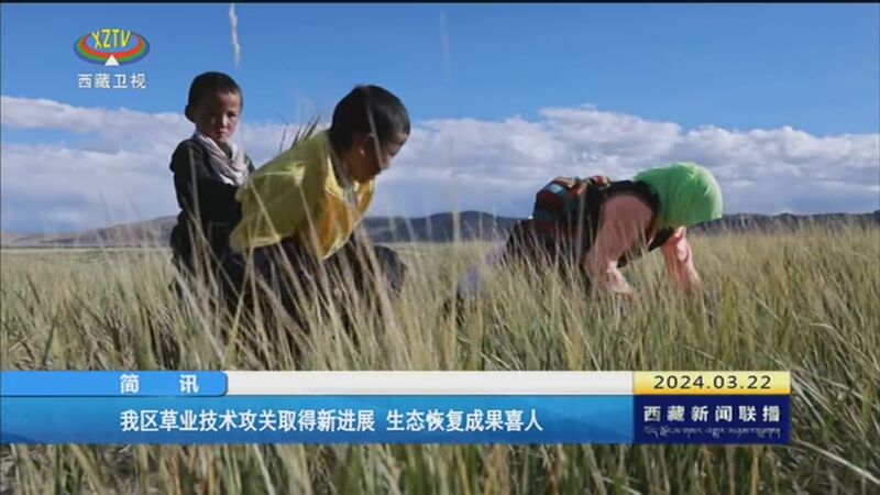 西藏新闻联播矮化苹果西藏新闻联播主持人殷秀梅-第2张图片-太平洋在线下载