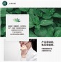 短信猫安卓版的简单介绍