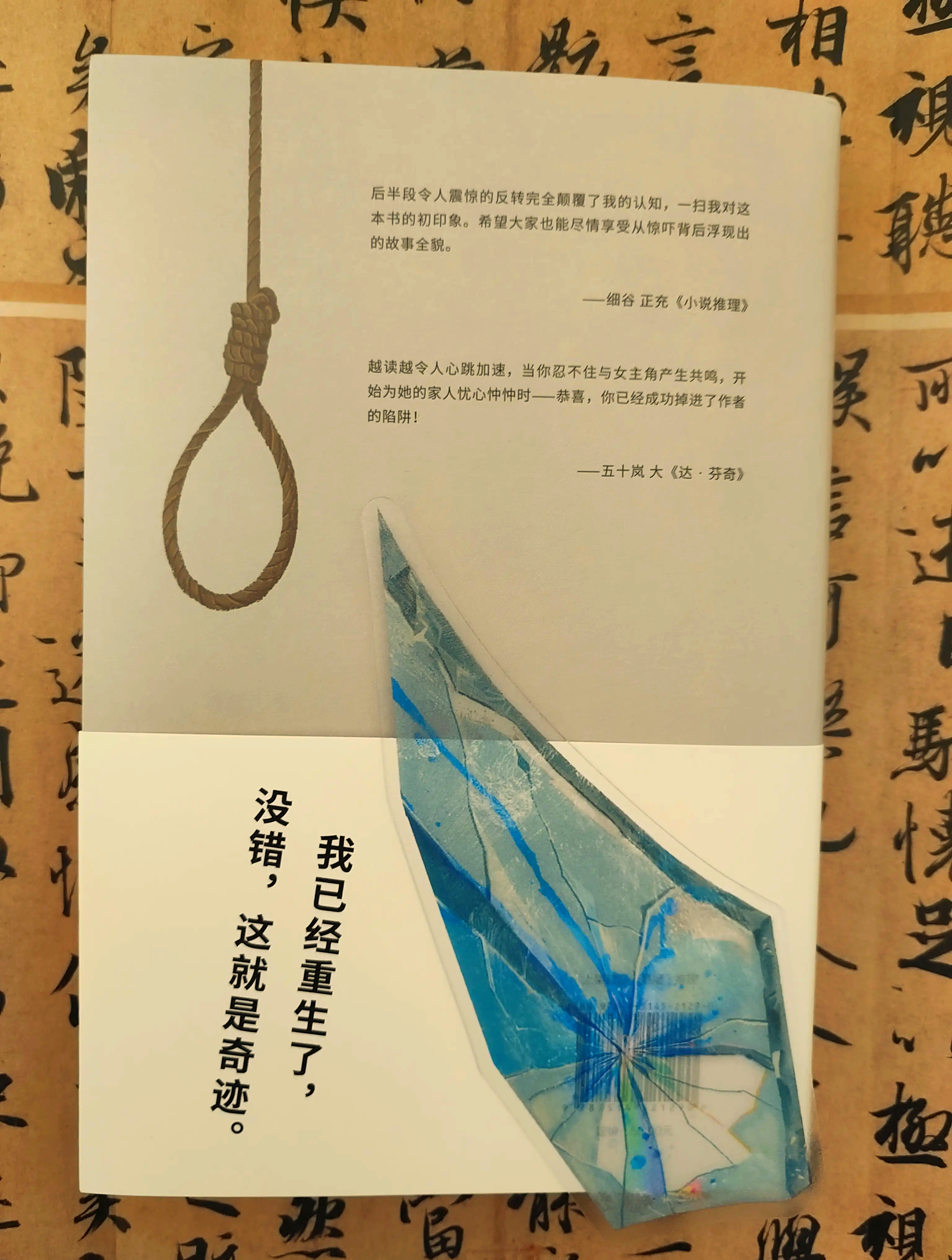 监禁中文版手机版prisonarchitect手机版